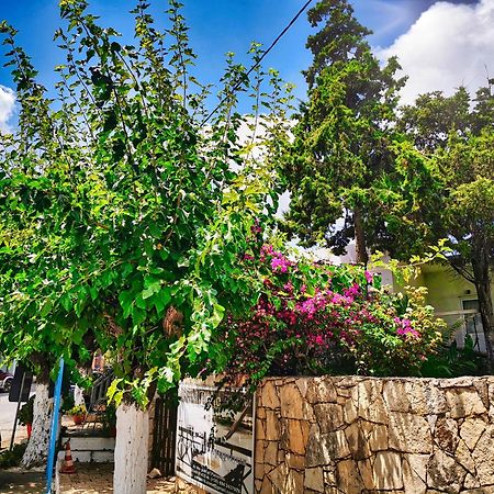 Ble Residence, Your Home Away From Home Pánormos المظهر الخارجي الصورة