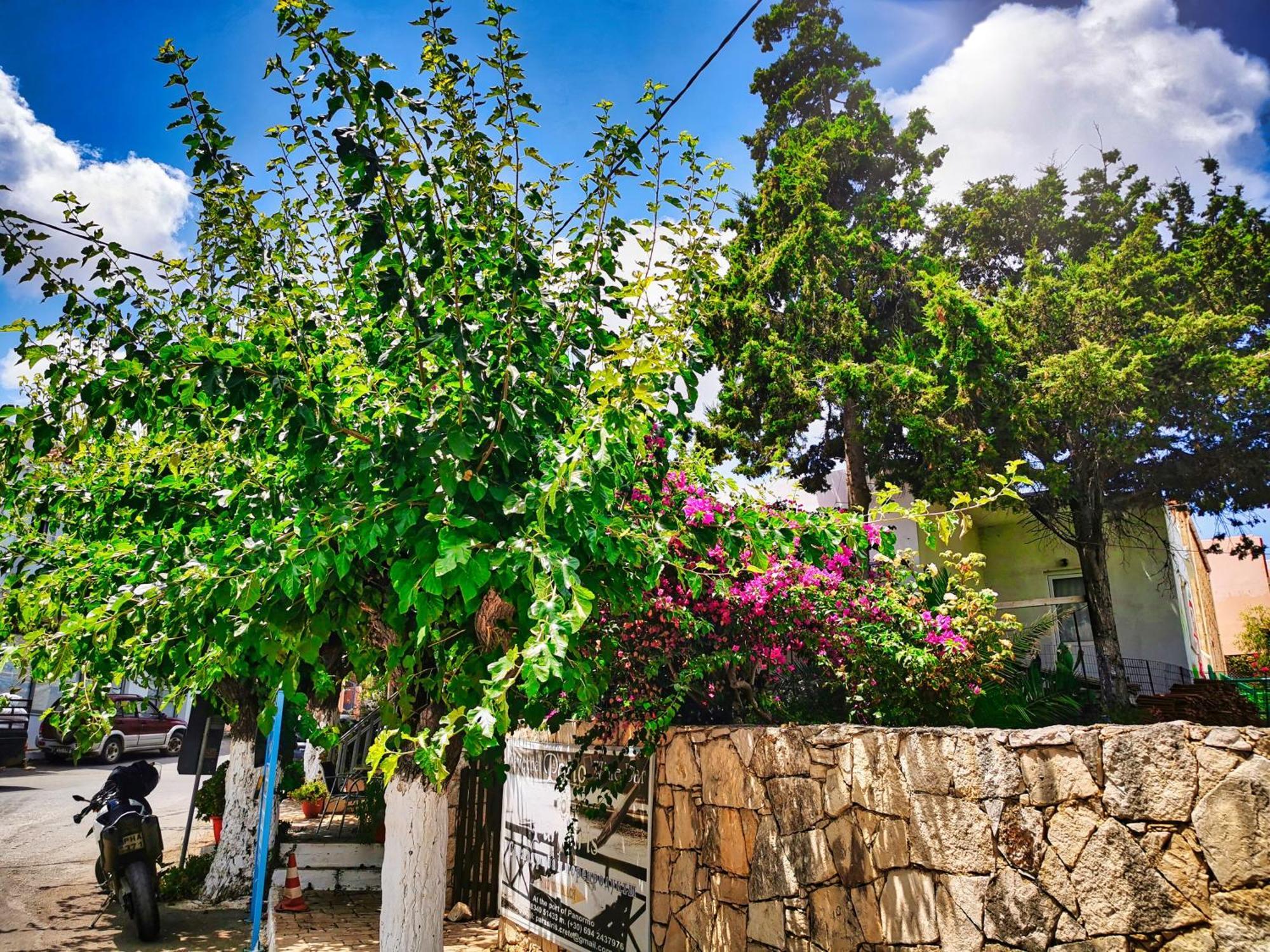 Ble Residence, Your Home Away From Home Pánormos المظهر الخارجي الصورة